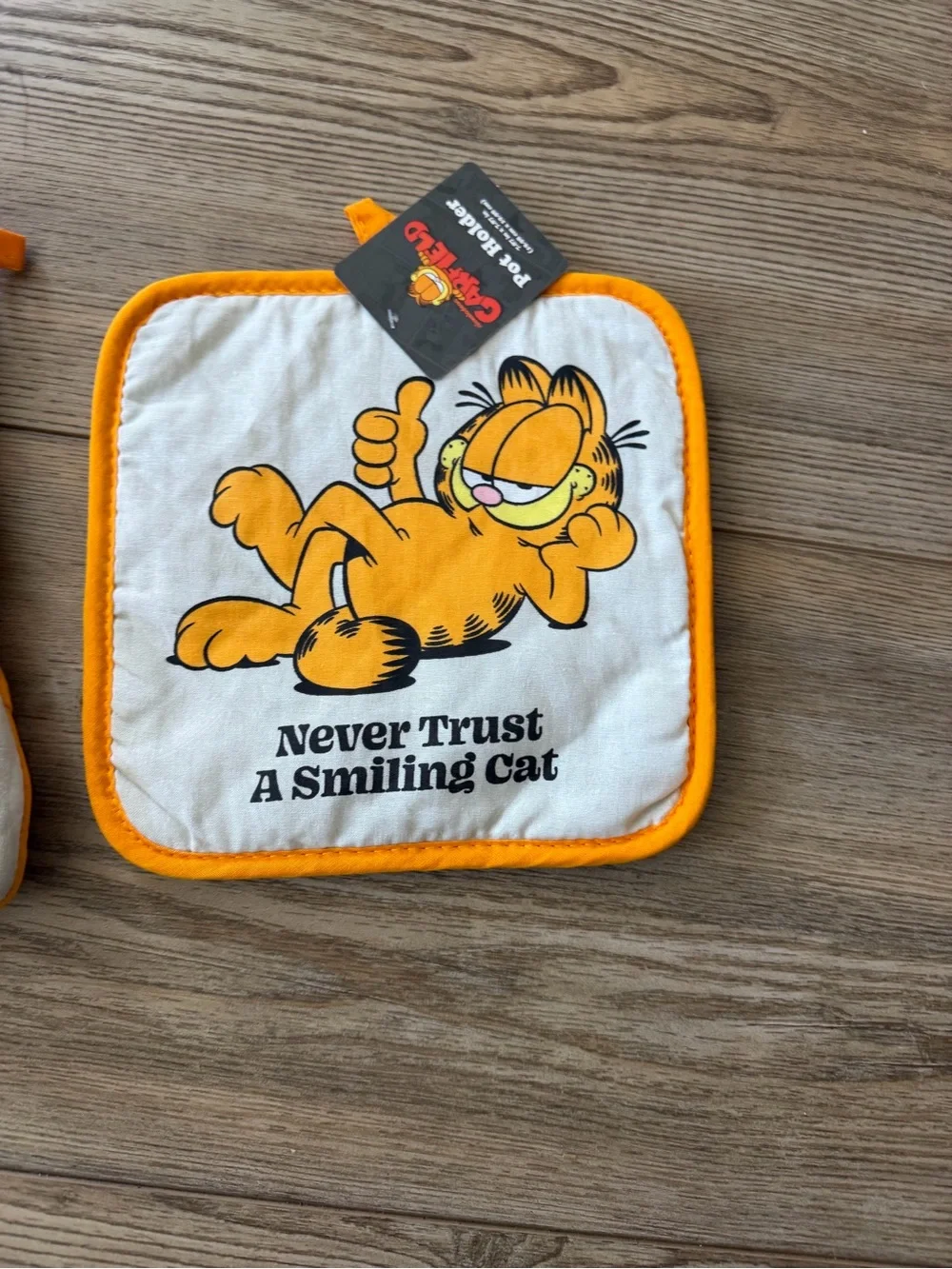 Orange Oven Mitt Garfield and Pot Holder Set -
